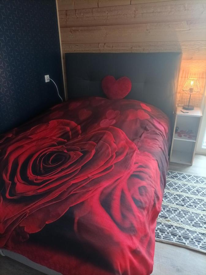 Le Nid Douillet D'Alsace Et Sa Balneo Villa Ottmarsheim ภายนอก รูปภาพ